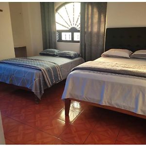 Habitación Individual Estándar